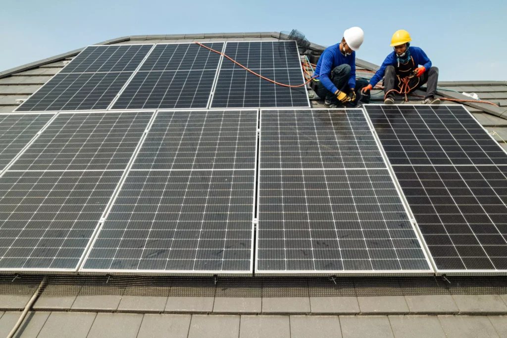 ตาข่ายกันนก